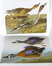 AUDUBON'S BIRDS OF AMERICA