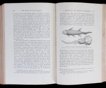 RARE 1893 VOLUME "STORY OF OUR PLANET"