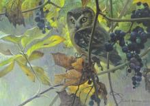 ROBERT BATEMAN