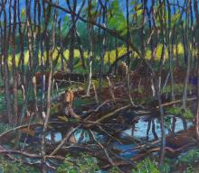 ROSS ROBERTSHAW