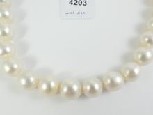 WORLD CLASS PEARL NECKLACE