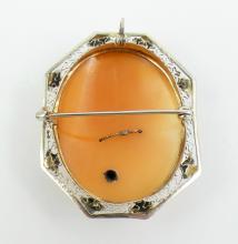 CAMEO BROOCH/PENDANT