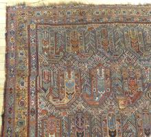 ANTIQUE SHIRVAN RUG