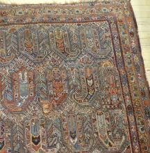 ANTIQUE SHIRVAN RUG