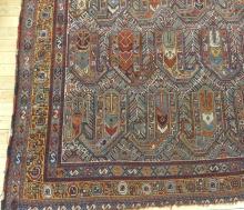 ANTIQUE SHIRVAN RUG