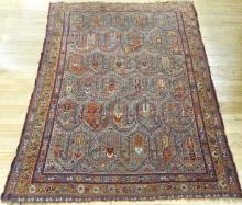 ANTIQUE SHIRVAN RUG