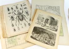 34 ANTIQUE PRINTS, 1890