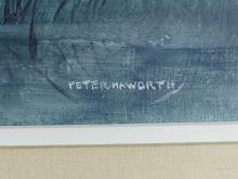 PETER HAWORTH