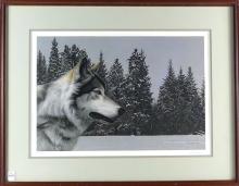 THREE WILDLIFE PRINTS