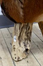 COWHIDE STOOL