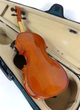 TWO VIOLINS