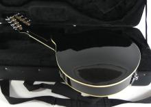 NEW YORK PRO MANDOLIN