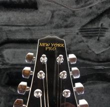 NEW YORK PRO MANDOLIN