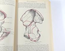 VINTAGE BOOKS INCLUDING GRAY'S ANATOMY