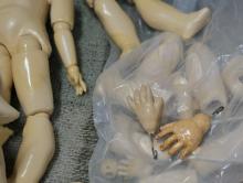 DOLL BODIES