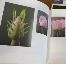 EIGHT HARDCOVER COFFEE TABLE BOOKS