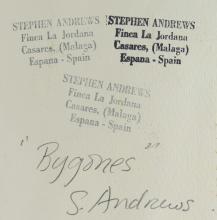 STEPHEN ANDREWS ARTIST'S FOLIO