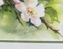 FOUR WATERCOLOURS BY ADRIENNE SMITH-WINDSOR