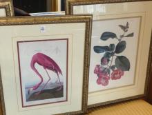 FOUR FRAMED DECORATOR PRINTS