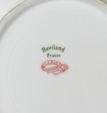 EXTENSIVE SELECTION OF HAVILAND LIMOGES CHINA