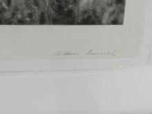 WILLIAM RONALD
