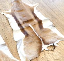 TWO SPRINGBOK HIDE MATS