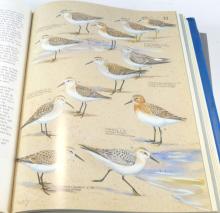 TWO HARDCOVER VOLUMES ON BIRDS