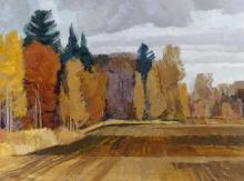 ROY AUSTIN