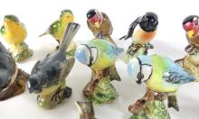 BESWICK BIRD COLLECTION