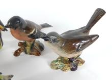 BESWICK BIRD COLLECTION