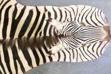 ZEBRA RUG