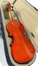 VIOLIN WITH CASE