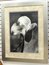 LARGE FRAMED "STILL LIFE" PHOTOGRAPHIC PRINT