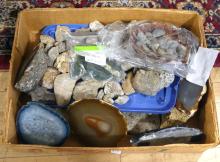 BOX LOT OF FOSSILS AND MINERAL ROCKS