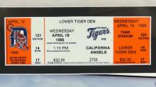 DETROIT TIGERS FRAMED MEMORABILIA