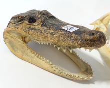 SHARK JAW, ALLIGATOR HEAD AND CAMEL FIGURINE