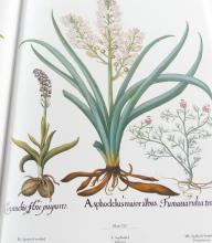 THE BESLER FLORILEGIUM VOLUME