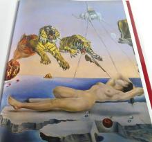 SALVADOR DALI VOLUME