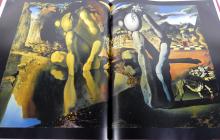 SALVADOR DALI VOLUME