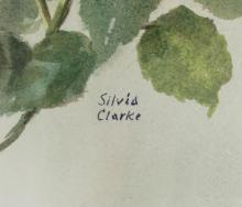 PAIR SILVIA CLARKE WATERCOLOURS