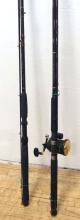 TWO FISHING RODS