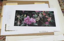 EIGHT UNFRAMED PRINTS