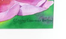 SHIRLEY LAWRENCE BELLOWS