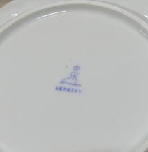 SIXTEEN DRESDEN PLATES