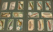 CIGARETTE CARD ALBUM