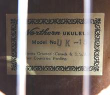 NORTHERN UKULELE WITH CASE