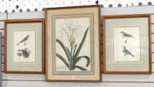 THREE FRAMED BOOKPLATES