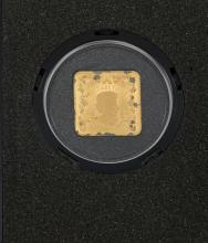 SQUARE BEAVER COIN
