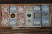 VICTORIAN MICROSCOPE SLIDES