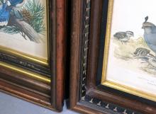 ANTIQUE FRAMES